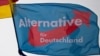 FILE PHOTO: Supporters of the AfD party wave flags during an event to rally support for Sunday's European Parliament elections in Berlin